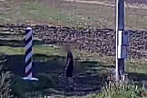 ujawnieni na pasie drogi granicznej ujawnieni na pasie drogi granicznej
