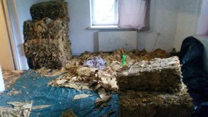 Międzynarodowy gang producentów papierosów zlikwidowany 