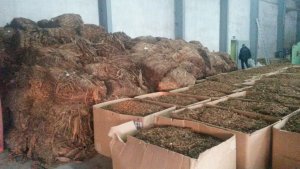 Międzynarodowy gang producentów papierosów zlikwidowany 