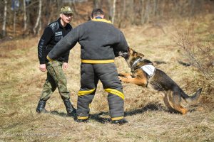 Wspólne szkolenie funkcjonariuszy Bieszczadzkiego Oddziału SG i GOPR-u w Bieszczadach 
