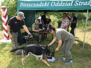 Odprawa podróżnych poza przejściem granicznym 