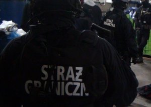 zlikwidowano grupę przestępczą handlującą papierosami 