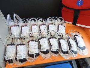 100 litrów krwi na 100-lecie Niepodległości 