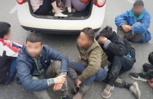zatrzymani imigranci z Azji 