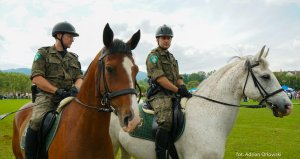 Konie służbowe Straży Granicznej na paradziej w Lutowiskach 