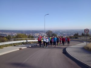 ..w stronę Bieszczadów ..z widokiem na panoramę Przemyśla 