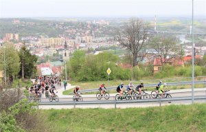 Mistrzostwa SG w Kolarstwie Górskim 2019 