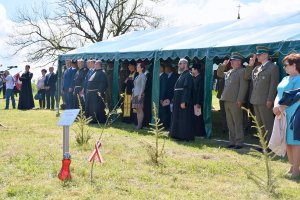 Aleja Dębów Pamięci Kapelanów Katyńskich 
