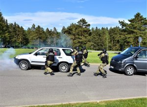 Dynamiczne pokazy działań granicznych 