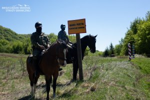 Pasat i Falcon na patrolu w Bieszczadach 