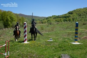 Pasat i Falcon na patrolu w Bieszczadach 