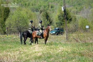 Pasat i Falcon na patrolu w Bieszczadach 