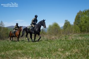 Pasat i Falcon na patrolu w Bieszczadach 