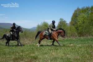 Pasat i Falcon na patrolu w Bieszczadach 