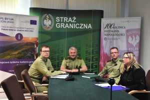 Posiedzenie komitetów sterujących online 