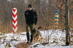 psy służbowe BiOSG 