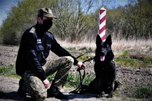 psy służbowe BiOSG 