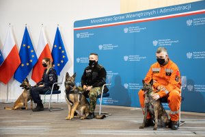 Konferencja prasowa z udziałem MSWiA oraz szefów służb 