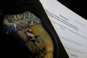 kontrola legalności pobytu prowadzona przez SG w wewnątrz kraju 