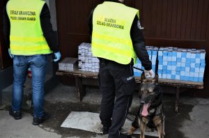 nielegalne papierosy ujawnione na posesji 