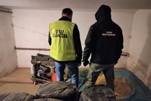 Zdjęcie z realizacji sprawy (ujawniony tytoń) 