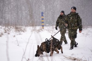 wiosenny partrol w zimowej aurze w Bieszczadach 