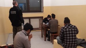 zatrzymani imigranci 