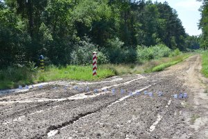 Kontrolny pas drogi granicznej z oznaczonymi śladami w rejonie Budomierza Kontrolny pas drogi granicznej z oznaczonymi śladami w rejonie Budomierza