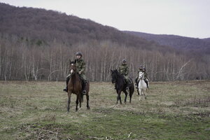 Konie w Bieszczadzkim Oddziale Straży Granicznej 