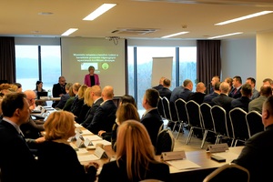 Pani Hanna Dobrzyńska, wystąpienie podczas seminarium IOM w Polańczyku 