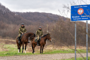 Konie w Bieszczadzkim Oddziale Straży Granicznej 
