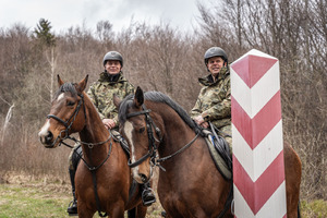 Konie w Bieszczadzkim Oddziale Straży Granicznej 