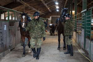Patrol konny w Bieszczadach 