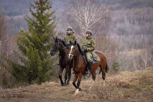 Patrol konny w Bieszczadach 