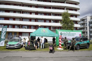 Piknik w Rzeszowie