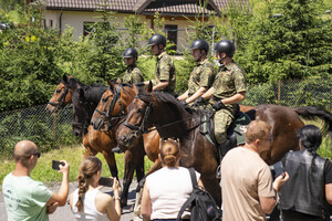 targi końskie w Lutowiskach
