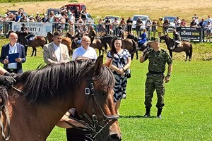 targi końskie w Lutowiskach