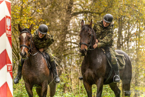 patrole konne w Bieszczadach patrole konne w Bieszczadach