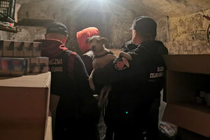 Ujawnione nielegalne towary