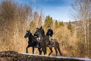 Nowe wierzchowce w Bieszczadzkim Oddziale SG