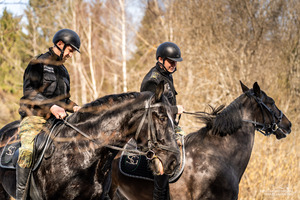 Nowe wierzchowce w Bieszczadzkim Oddziale SG