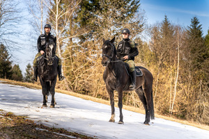 Nowe wierzchowce w Bieszczadzkim Oddziale SG