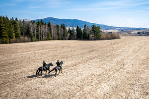 Nowe wierzchowce w Bieszczadzkim Oddziale SG