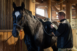 Nowe wierzchowce w Bieszczadzkim Oddziale SG