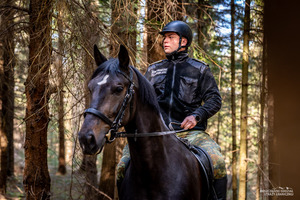 Nowe wierzchowce w Bieszczadzkim Oddziale SG