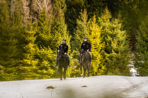 Nowe wierzchowce w Bieszczadzkim Oddziale SG