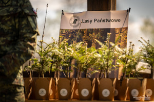 Dzień Ziemi - zasadzenie Zakątka Leśnego na 35. lat BiOSG Dzień Ziemi - zasadzenie Zakątka Leśnego na 35. lat BiOSG