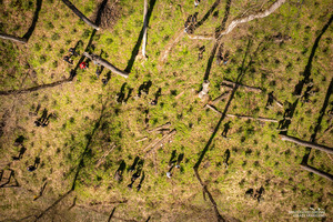 Dzień Ziemi - zasadzenie Zakątka Leśnego na 35. lat BiOSG Dzień Ziemi - zasadzenie Zakątka Leśnego na 35. lat BiOSG
