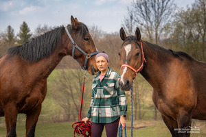 konie służbowe Korynt i Feniks na emeryturze konie służbowe Korynt i Feniks na emeryturze