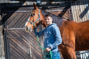 konie służbowe Korynt i Feniks na emeryturze konie służbowe Korynt i Feniks na emeryturze